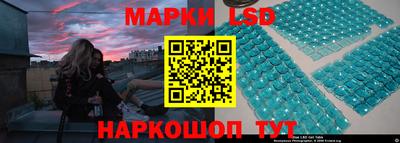 крисы Магадан