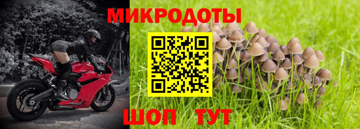 Артёмовский  Псилоцибиновые грибы прущие грибы  Вход с VPN 